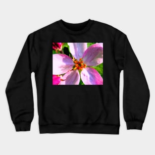 Crabapple Blossoms Photo Print Crewneck Sweatshirt